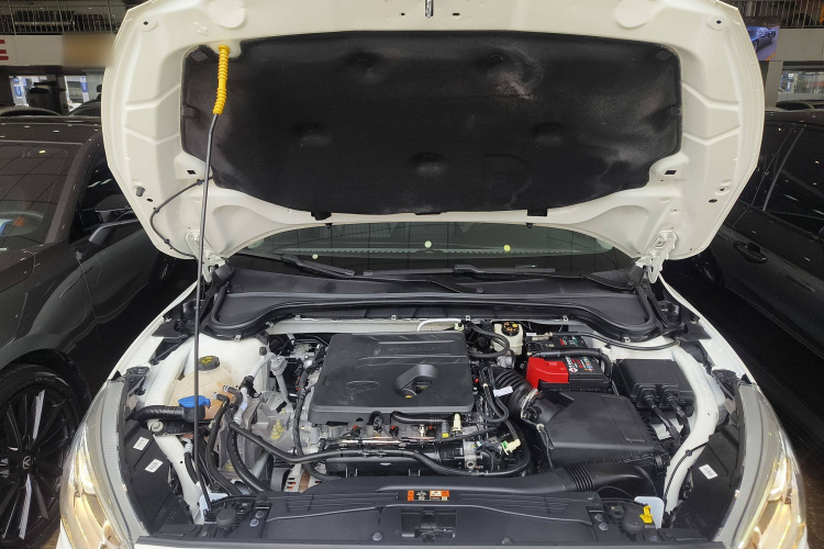 福特 福克斯 2020款 三厢 EcoBoost 180 自动锋潮型机舱底盘24