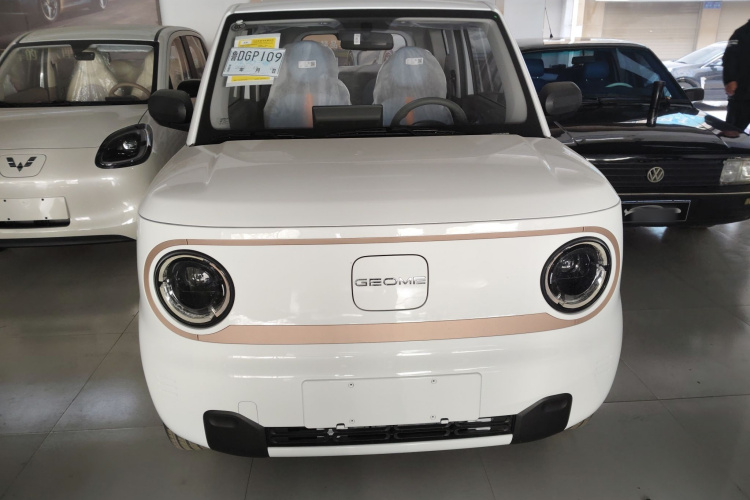 吉利银河 2024款 熊猫mini 200km 耐力熊车身外观6001