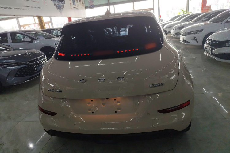 欧拉好猫 2024款 401km 豪华型车身外观6