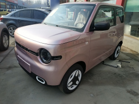 吉利银河 熊猫 2025款 210km 元气熊