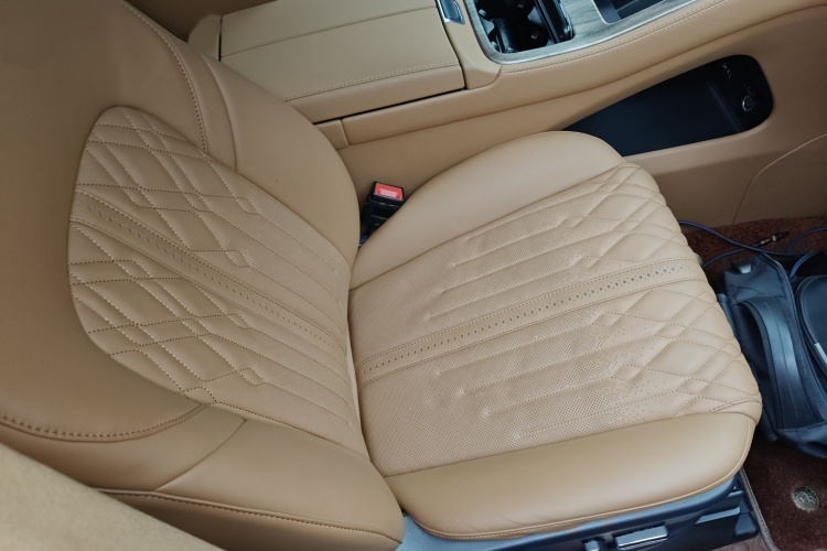 广汽传祺 传祺M8 2021款 领秀系列 390T 至尊版局部细节41