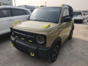 吉利银河 2024款 200km 熊猫骑士