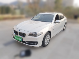 宝马5系 2014款 520Li 典雅型