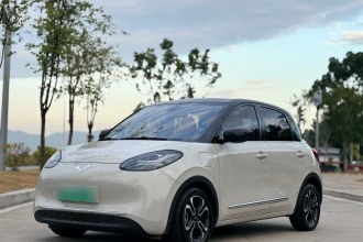 五菱汽车 五菱缤果 2024款 410km 灵犀尊享款