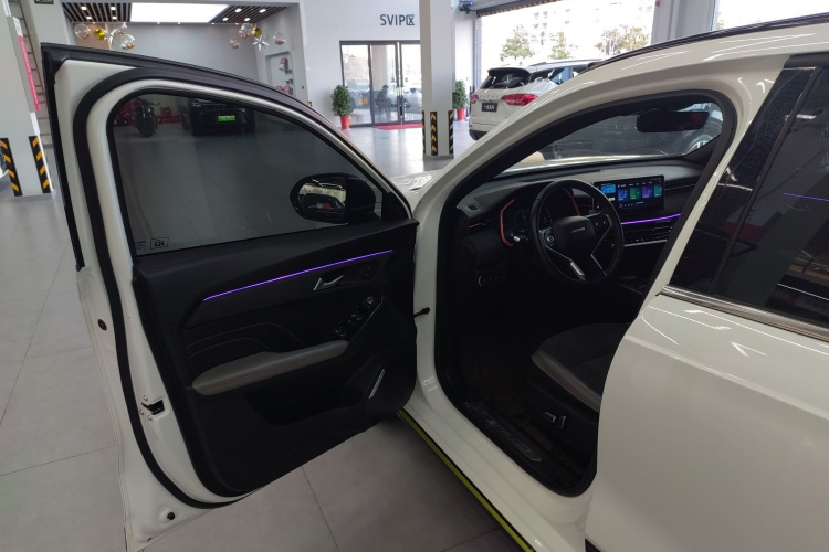 哈弗赤兔 2021款 激擎版 1.5T 黄金兔中控内饰20