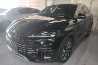 比亚迪 宋PLUS新能源 2024款 荣耀版 DM-i 71km 豪华型