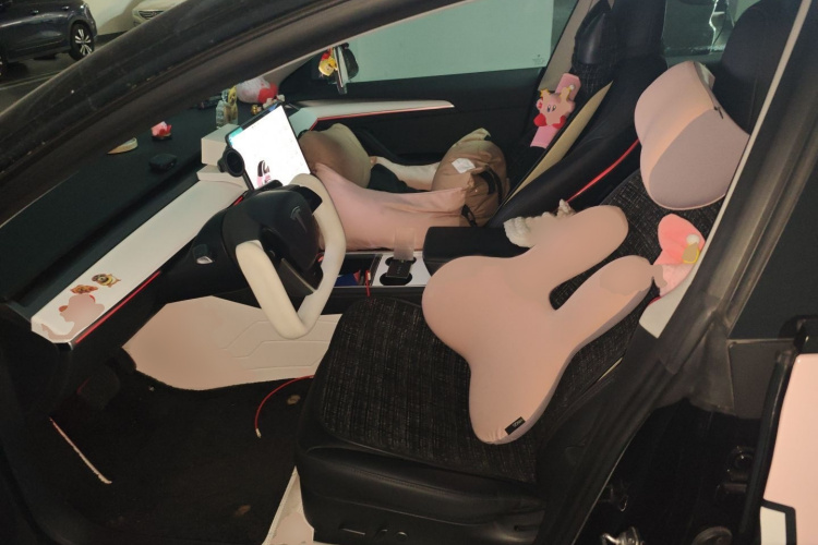 特斯拉 Model 3 2021款 标准续航后驱升级版 3D6局部细节19