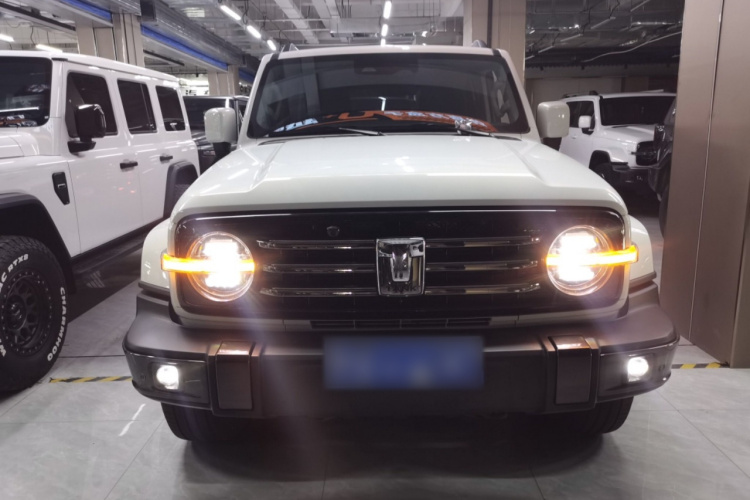 坦克300 2021款 城市版 2.0T 很有型车身外观2