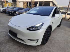 特斯拉 Model Y 2021款 长续航全轮驱动版 3D7