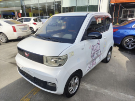 五菱汽车 宏光MINIEV 2020款 自在款 磷酸铁锂