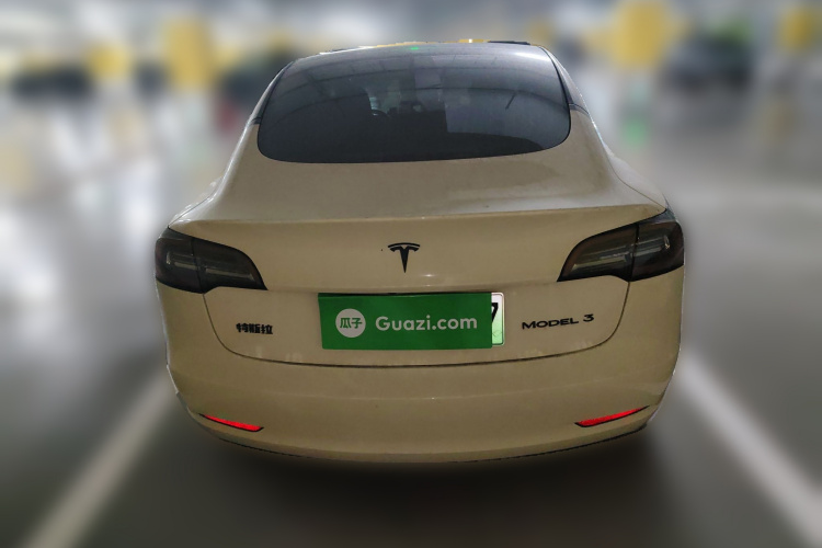 特斯拉 Model 3 2020款 标准续航后驱升级版车身外观6004