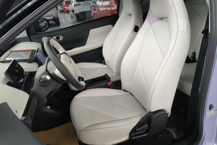 奇瑞 小蚂蚁 2024款 改款 青春版 321km 酷爱版 29.23kWh局部细节19