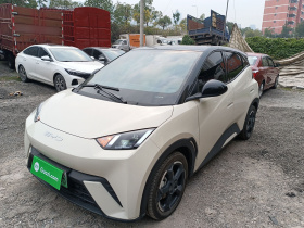 比亚迪 海鸥 2023款 自由版