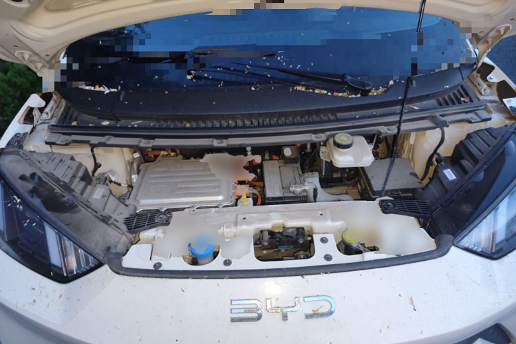 比亚迪 海鸥 2025款 305km 活力版局部细节24