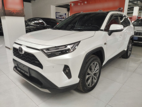 丰田 RAV4荣放 2023款 2.0L CVT两驱20周年铂金纪念版
