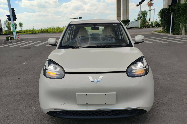 五菱汽车 五菱缤果 2024款 333km 悦享款车身外观6001