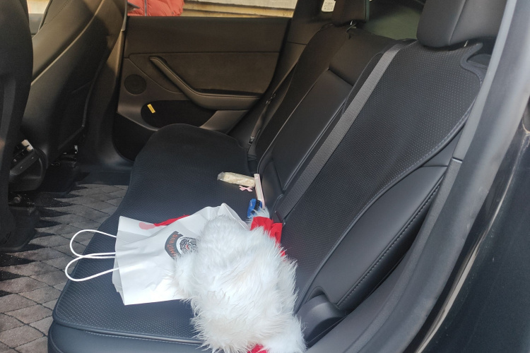 特斯拉 Model Y 2024款 后轮驱动版中控内饰21