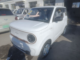 吉利银河 2024款 熊猫mini 200km 耐力熊