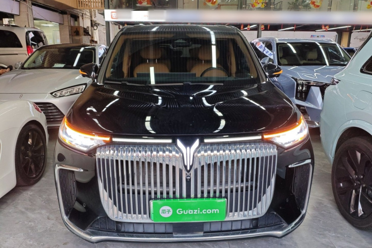 岚图汽车 岚图梦想家 2025款 PHEV 四驱尊贵鲲鹏版车身外观2