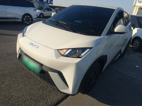 比亚迪 海鸥 2024款 荣耀版 305km 活力版