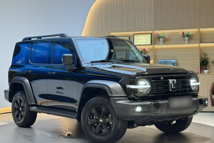 坦克300 2024款 2.0T 挑战者车身外观6010