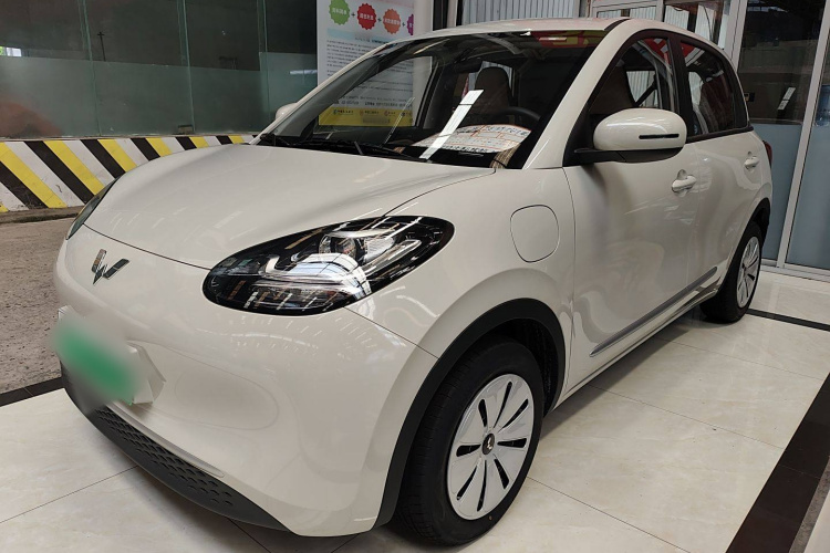 五菱汽车 五菱缤果 2024款 203km 轻享款车身外观1