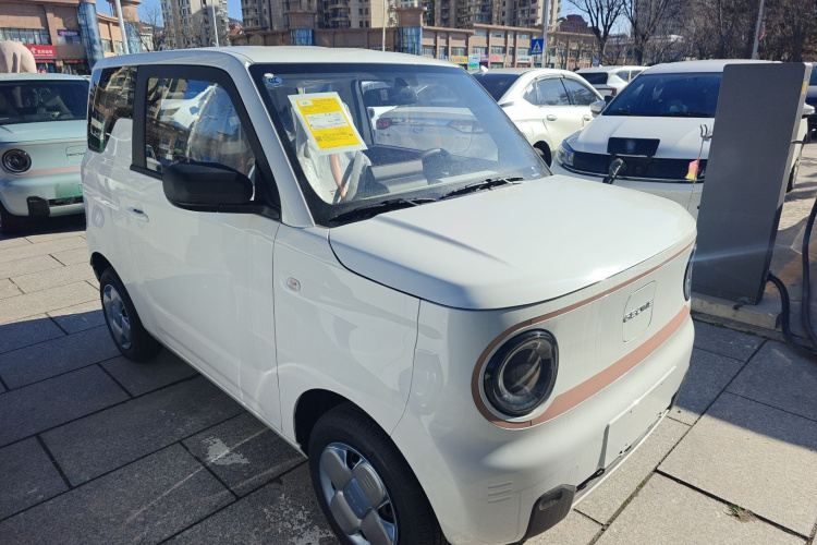 吉利银河 2024款 熊猫mini 200km 耐力熊车身外观3