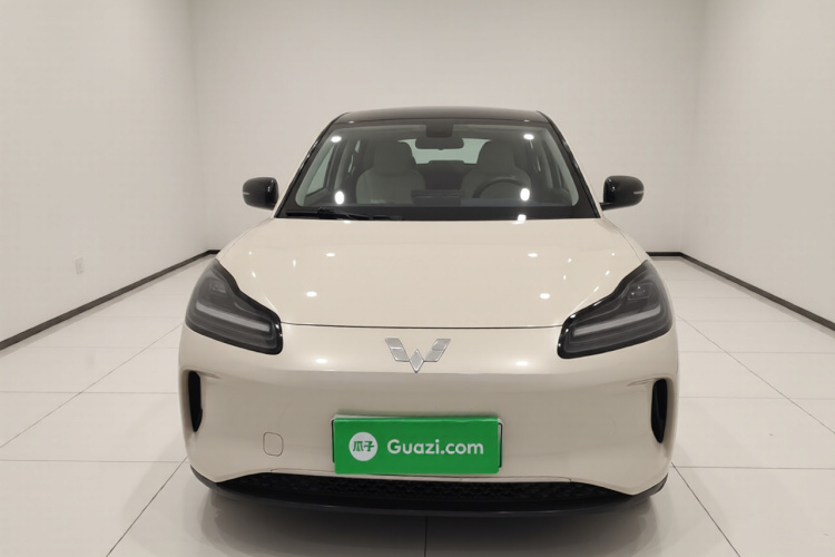 五菱汽车 五菱缤果PLUS 2024款 330km 五座版车身外观2