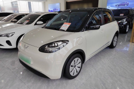 五菱汽车 五菱缤果 2023款 333km 快享款