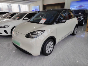 五菱汽车 五菱缤果 2023款 333km 快享款