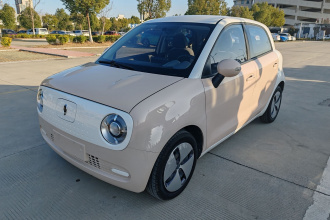 欧拉黑猫 2021款 301km 基础型