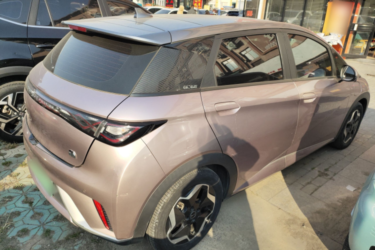 比亚迪 海豚 2021款 405km 时尚版车身外观7