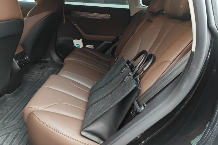 零跑汽车 零跑C11 2021款 豪华版中控内饰21