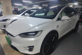 特斯拉 Model X 2019款 Performance 高性能版