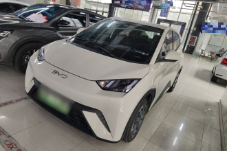 比亚迪 海鸥 2024款 荣耀版 305km 自由版