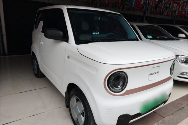 吉利银河 2024款 熊猫mini 200km 耐力熊车身外观6002