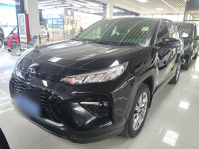 丰田 威兰达 2020款 2.0L CVT两驱豪华版