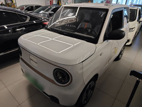 吉利银河 2023款 熊猫mini 200km 灵动熊