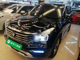 广汽传祺 传祺GS8 2017款 320T 两驱豪华智联版（七座）