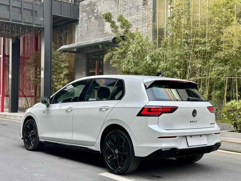大众 高尔夫 2025款 300TSI R-Line(3)