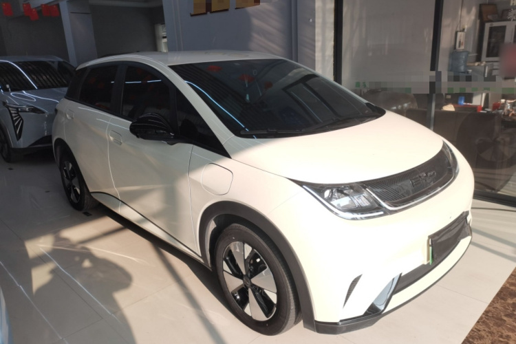 比亚迪 海豚 2023款 420km 自由版车身外观3