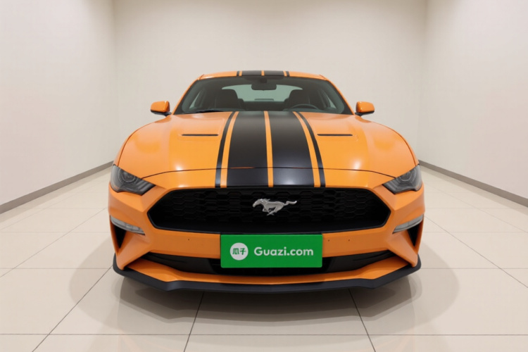 SHELBY GTE 2018款 2.3T 基础版车身外观2