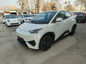 比亚迪 海鸥 2025款 智驾版 305km 活力版