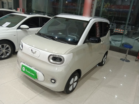 五菱汽车 宏光MINIEV 2024款 第三代 215km 进阶版