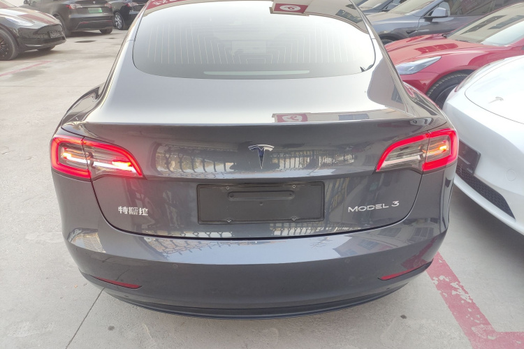 特斯拉 Model 3 2019款 标准续航后驱升级版车身外观6004