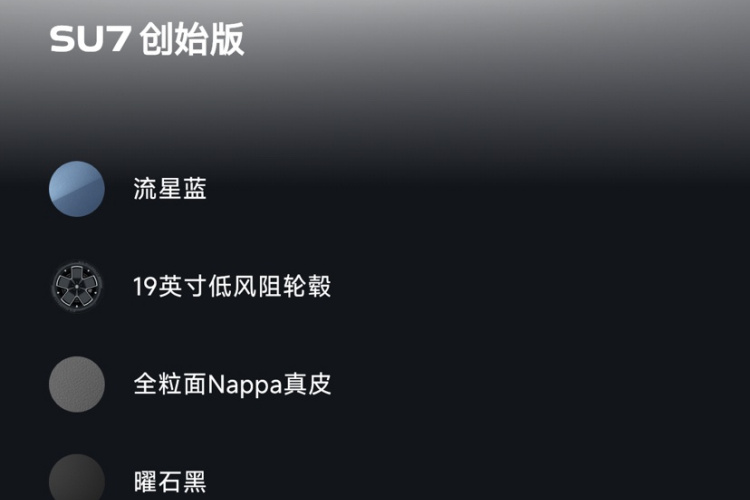 小米汽车 小米SU7 2024款 后驱标准创始版局部细节9010