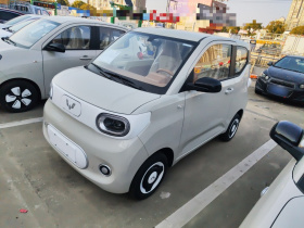 五菱汽车 宏光MINIEV 2024款 第三代 215km 青春版