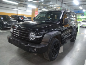 坦克300 2021款 越野版 2.0T 挑战者