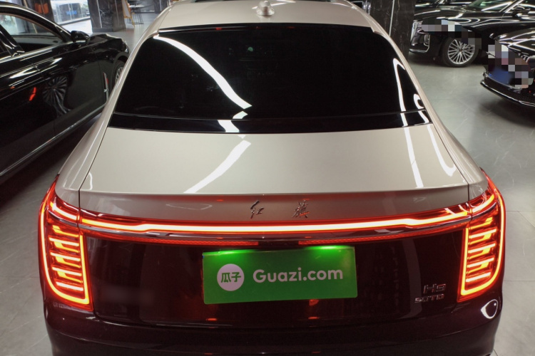 红旗H9 2022款 3.0T 智联旗领四座版车身外观6004