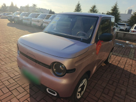 吉利银河 熊猫 2025款 210km 元气熊